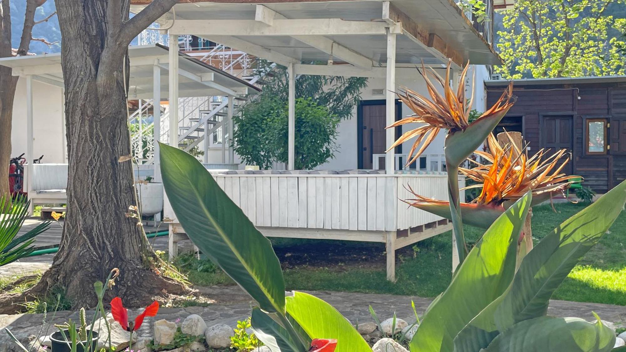 Jasmin Pansiyon Çıralı Cirali Exterior foto